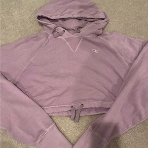 champion cropped hoodie